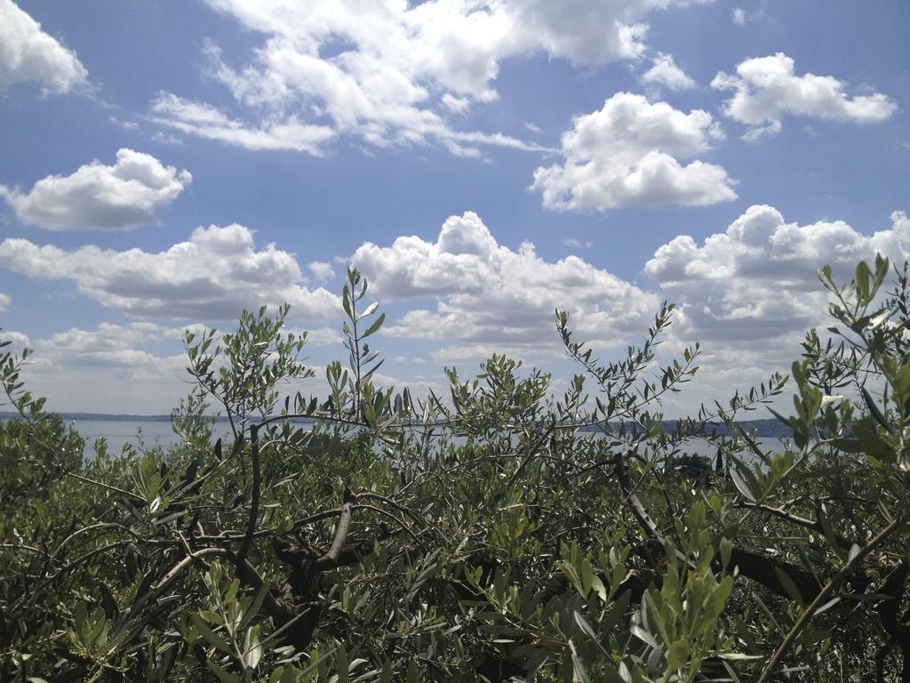 韦拉莫利诺公寓 Moniga del Garda 外观 照片